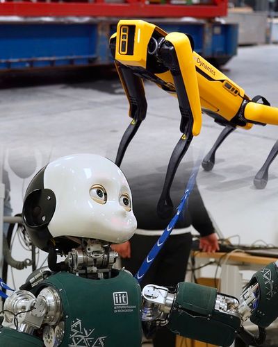 Il meglio della Robotica
