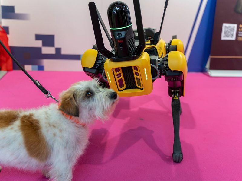 SPOT interagisce con un cane nell'area fieristica del WMF 2022