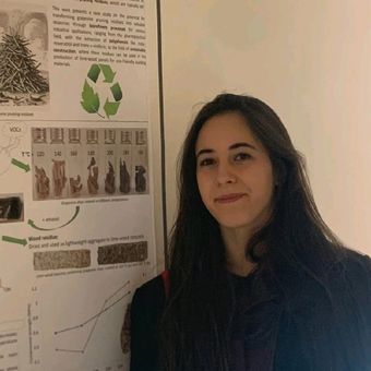 Veronica D'Eusanio