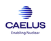 CAELUS S.R.L.