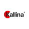 Kallina AI