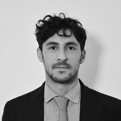 Michele Cervellini